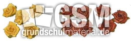Blumen5+7.jpg